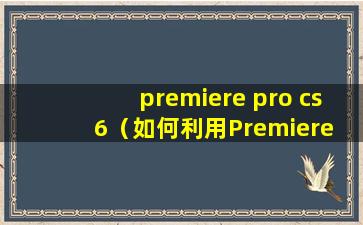 premiere pro cs6（如何利用Premiere Pro cs6给视频进行简单的调色？）